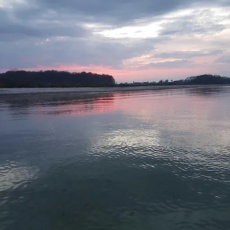 Seestern Schwackendorf