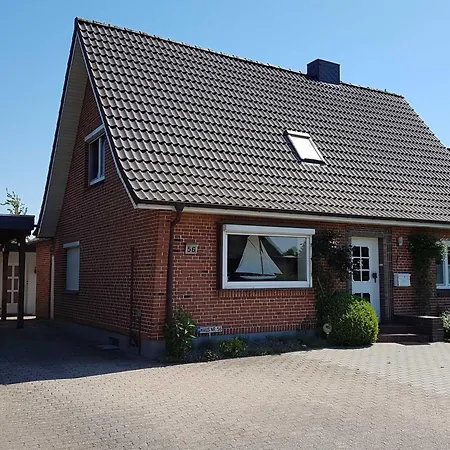 Seestern Schwackendorf