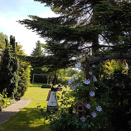 Seestern Schwackendorf